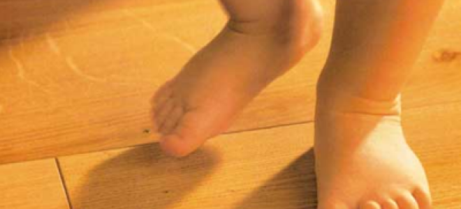 Правила эксплуатации паркетной доски и нюансы ухода за ней